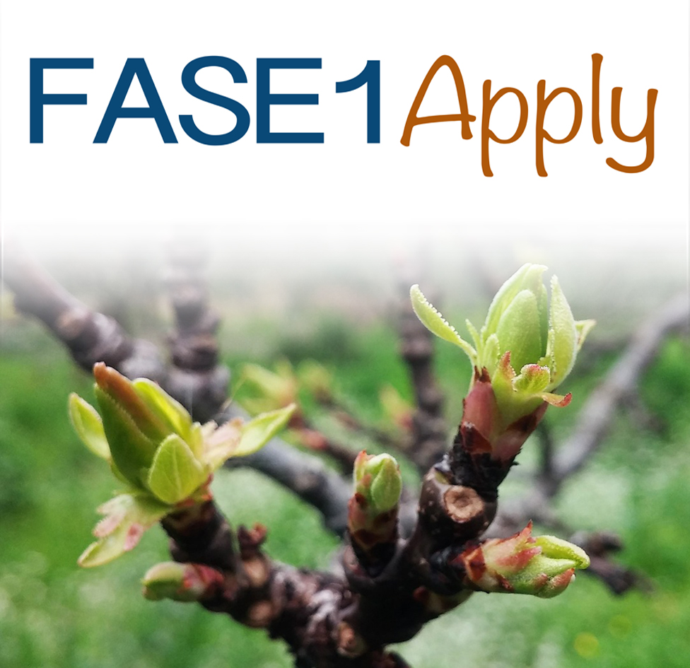 FASE1-Apply COD: N-005